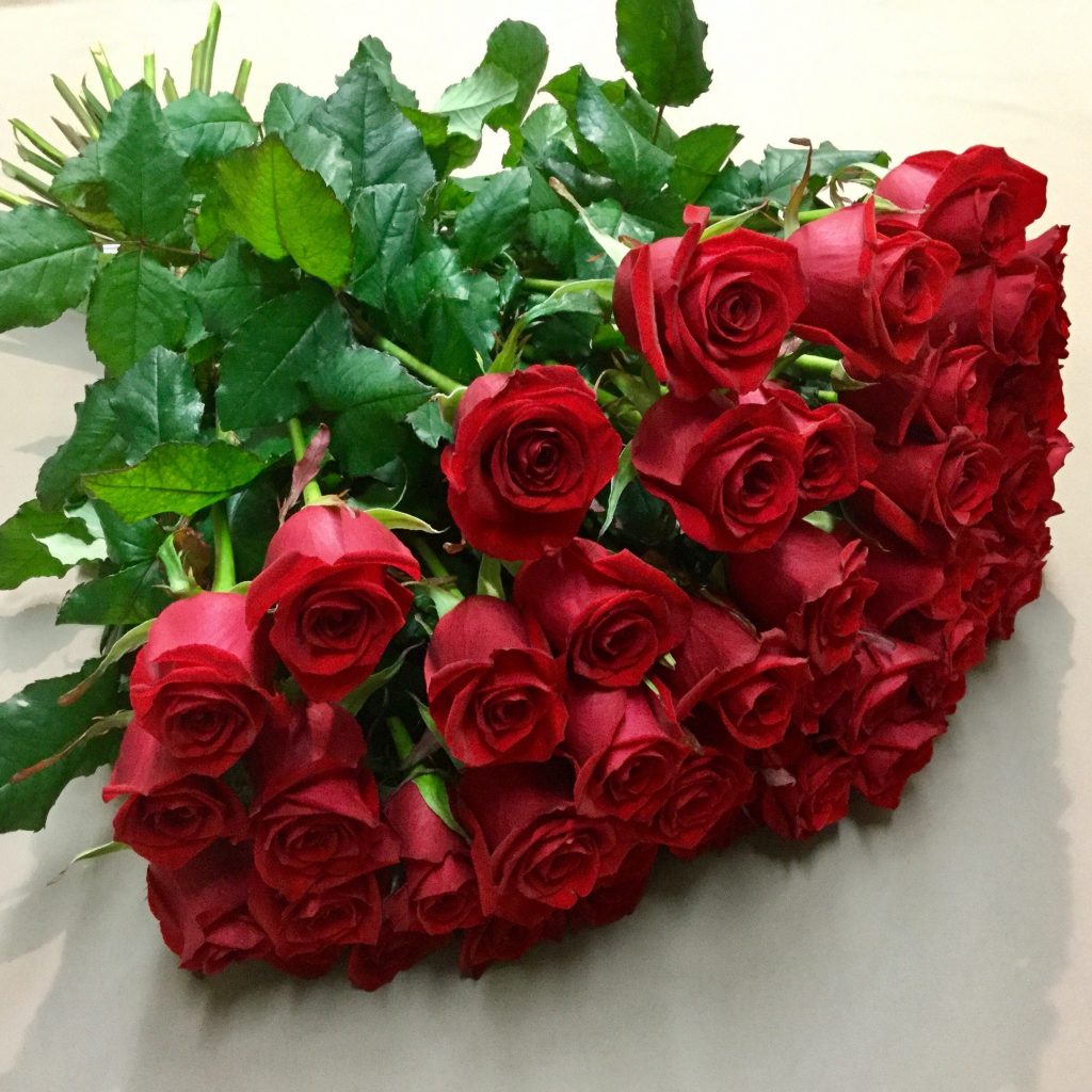 Prix D Une Rose à L'unité Fleuriste