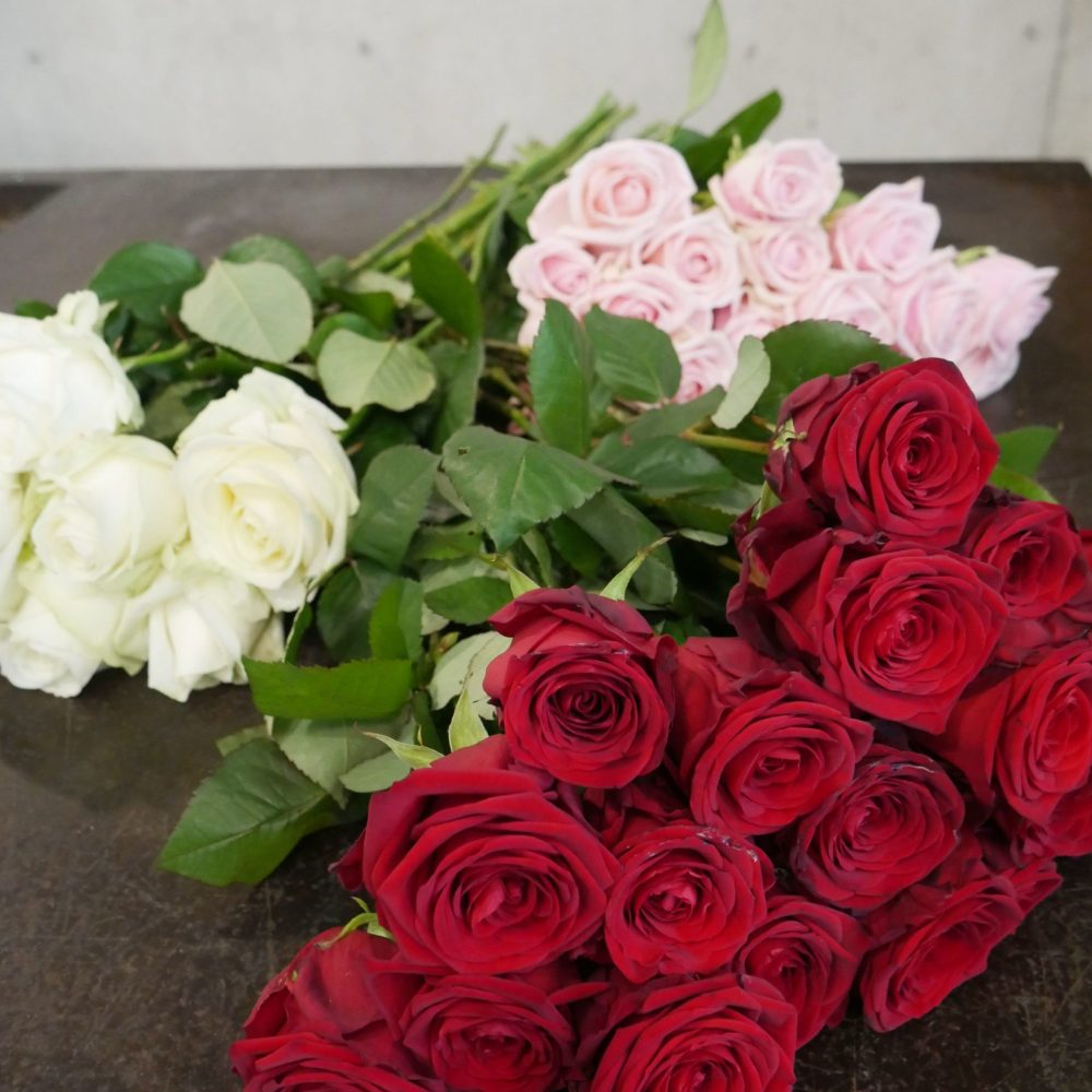 Prix D Une Rose à L Unité Fleuriste