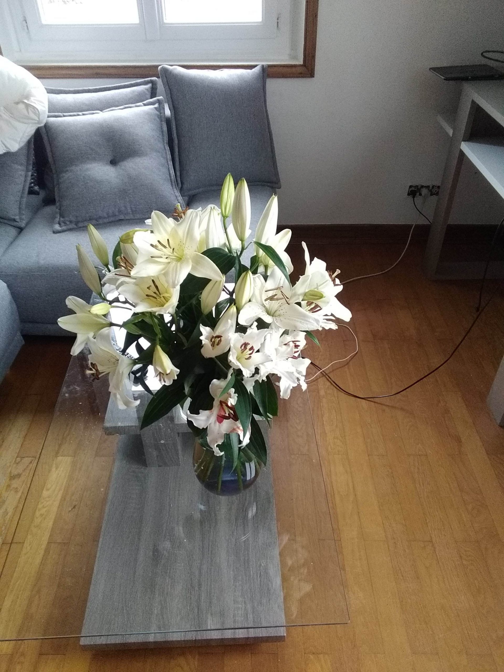 Bouquet de lys blancs