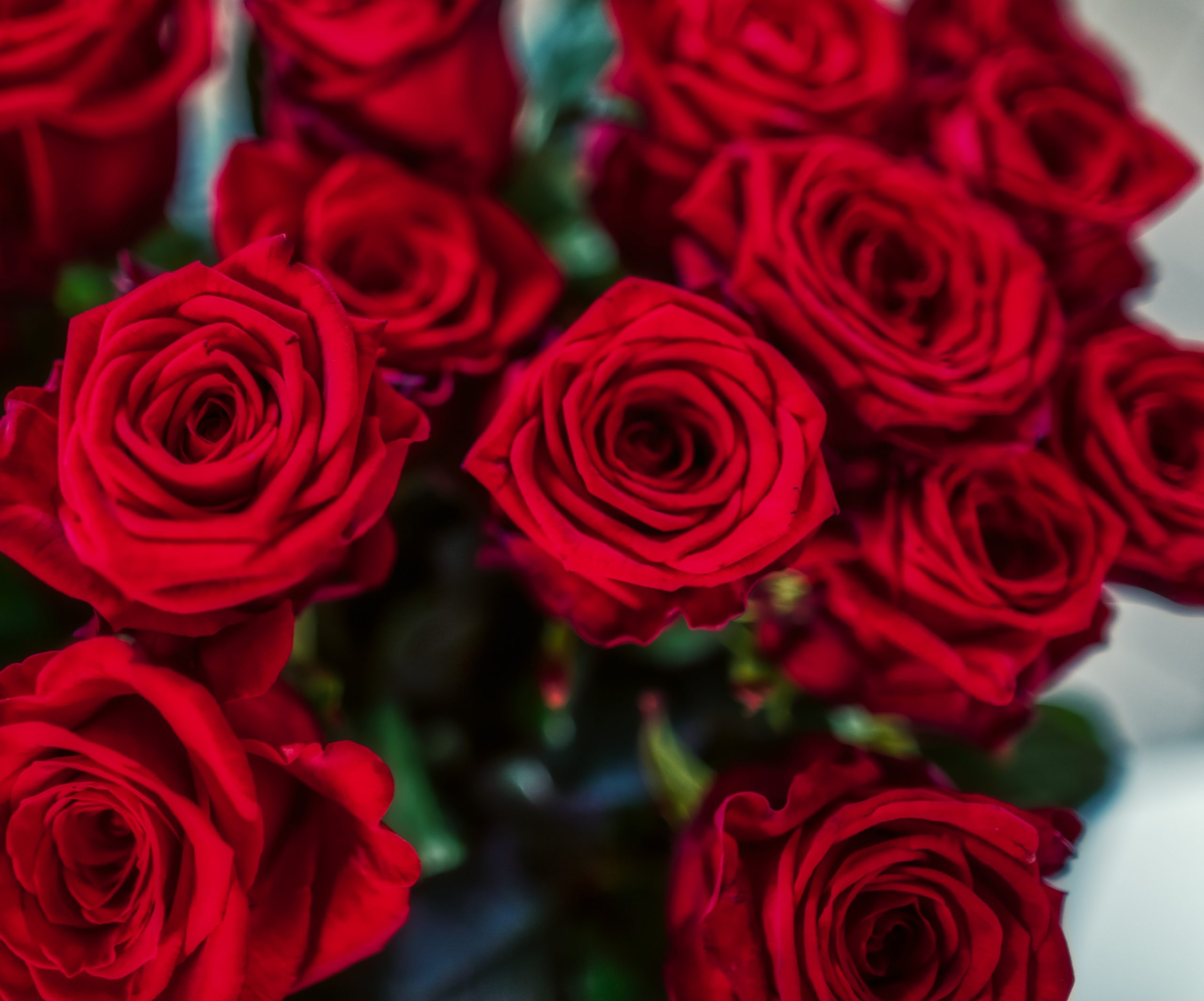 Bouquet de Roses Rouges