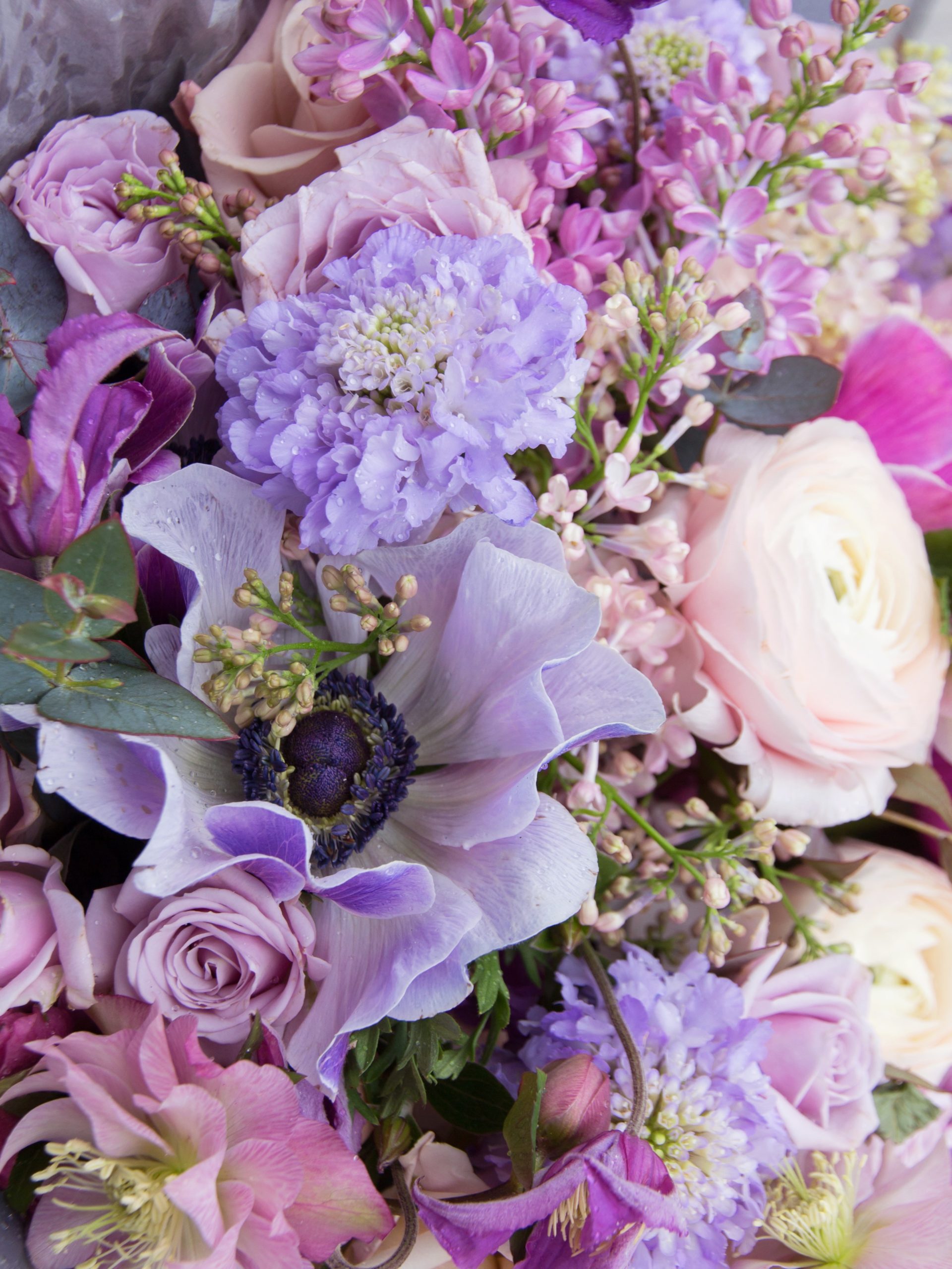Bouquet parme violet
