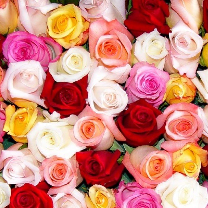 Bouquet de Roses couleurs variées