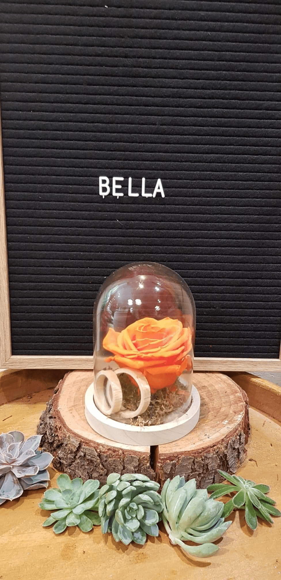 Rose éternelle Bella
