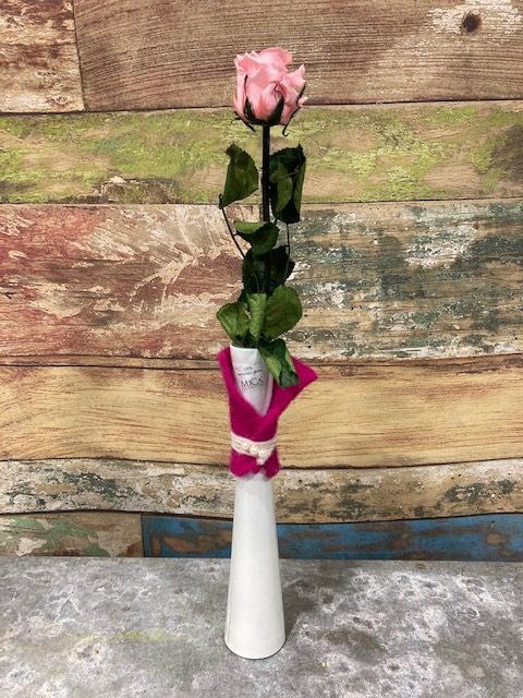 rose rose stabilisée en vase