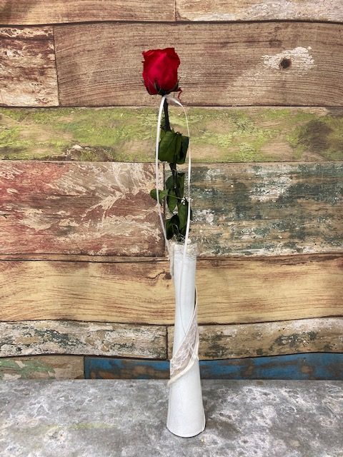 rose rouge stabilisée en vase