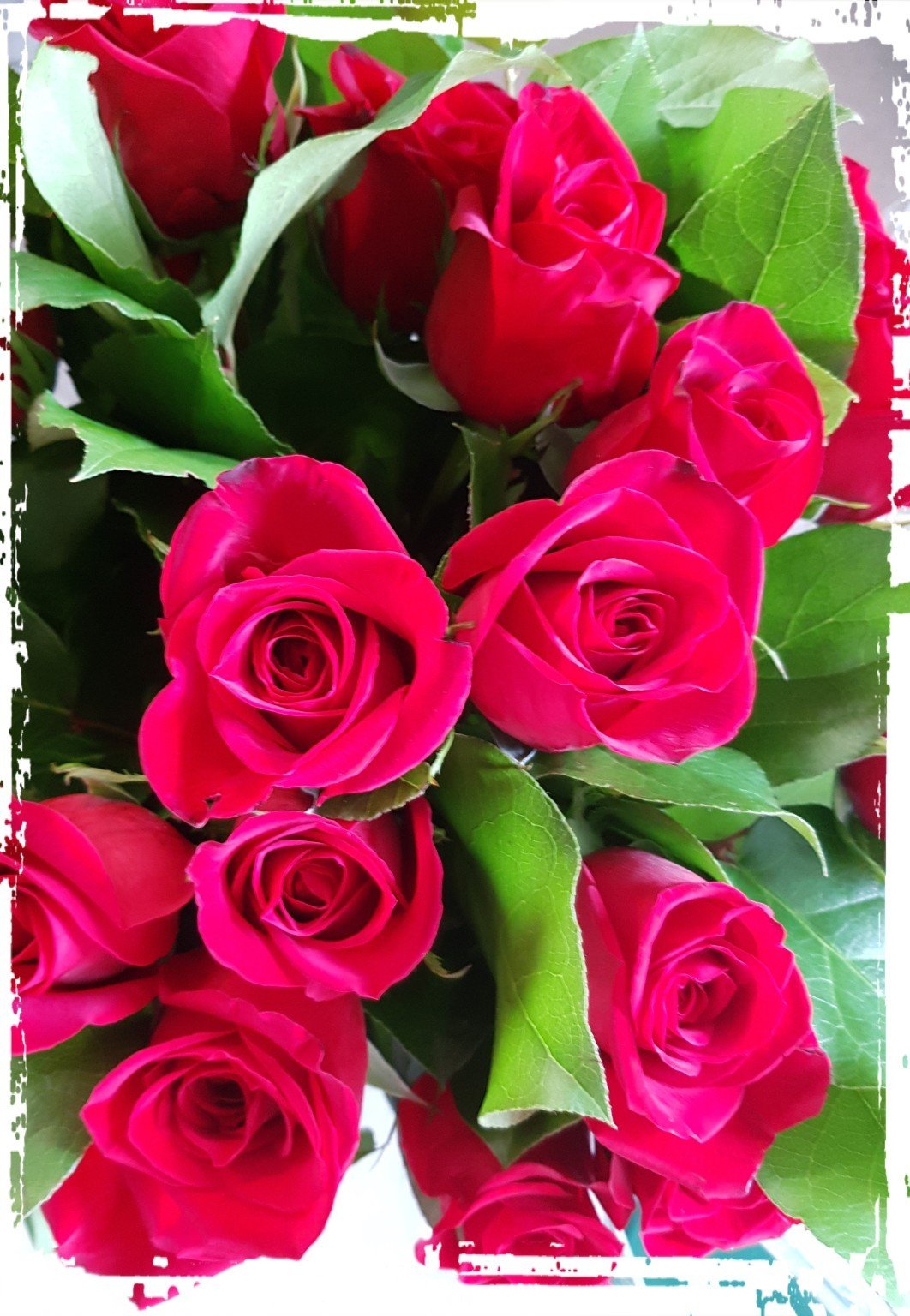 Roses rouges A La Rose D'Or Narbonne