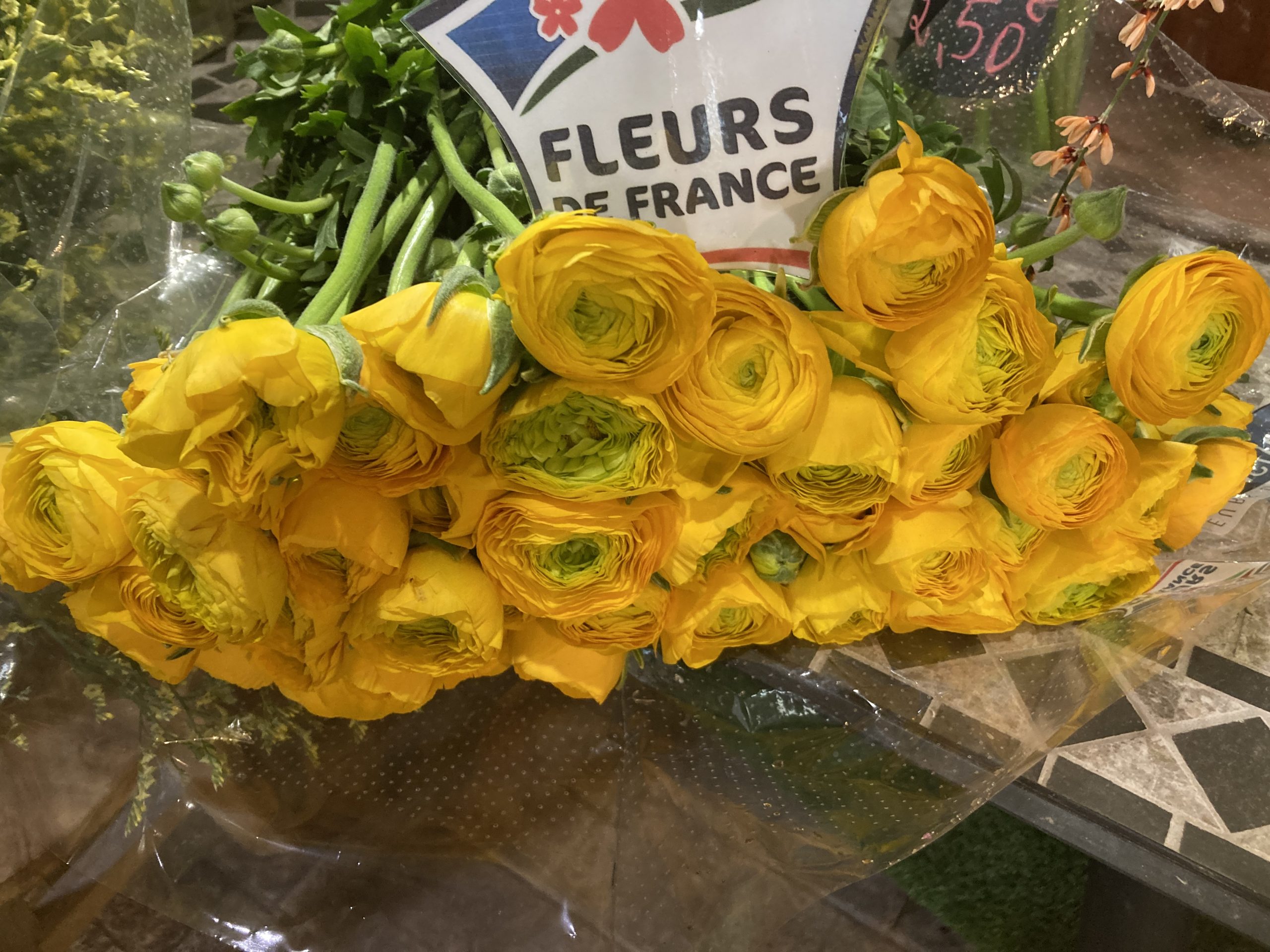 Fleurs de France ????