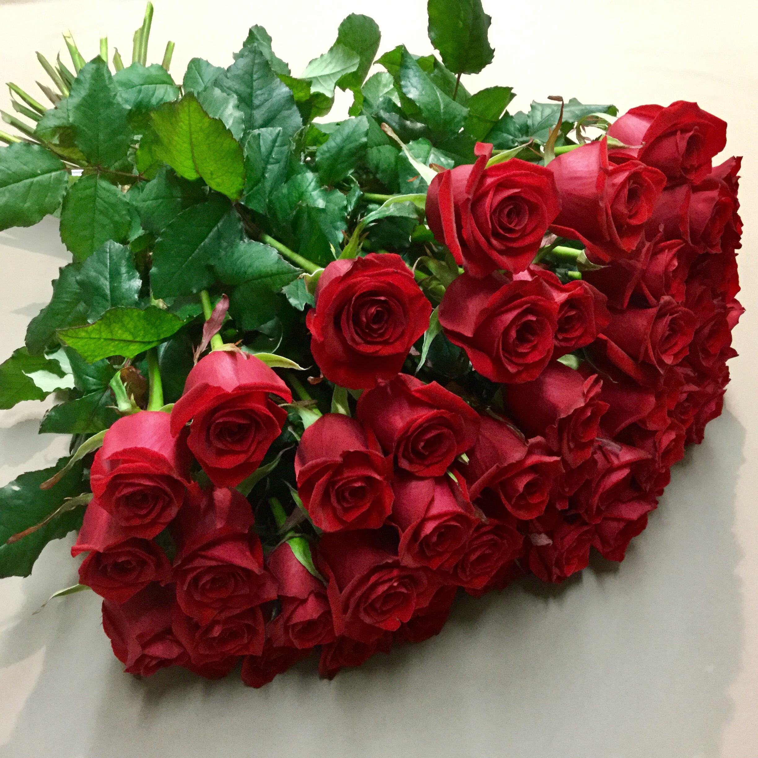 Bouquet de roses rouges (70 cm)