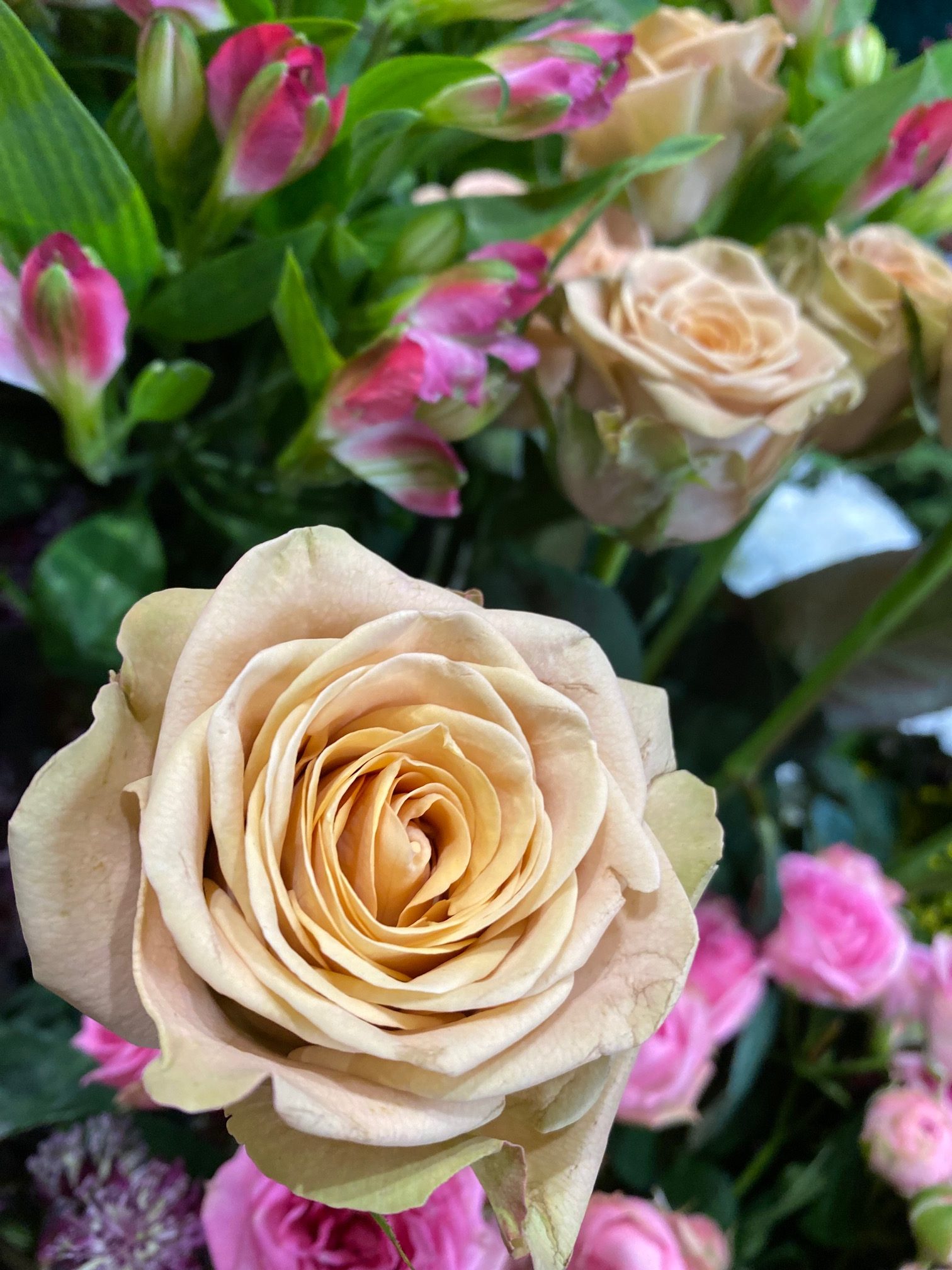 Roses de Bertrand Artisan Floral
