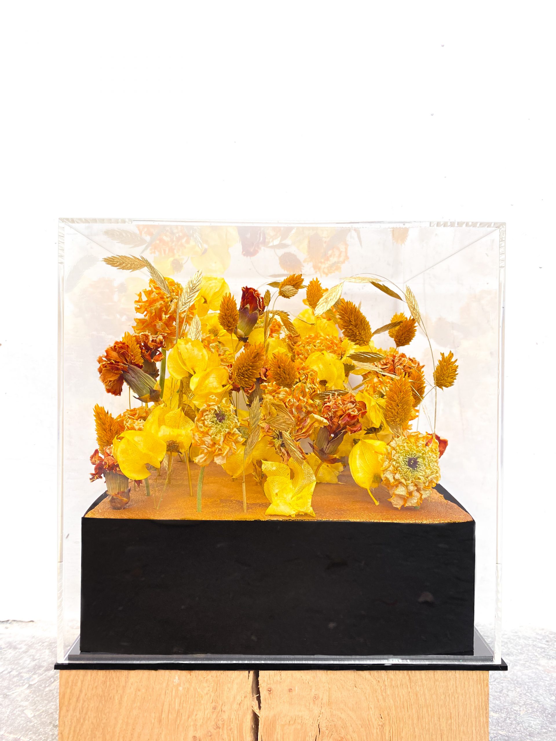 Cube de fleurs séchées