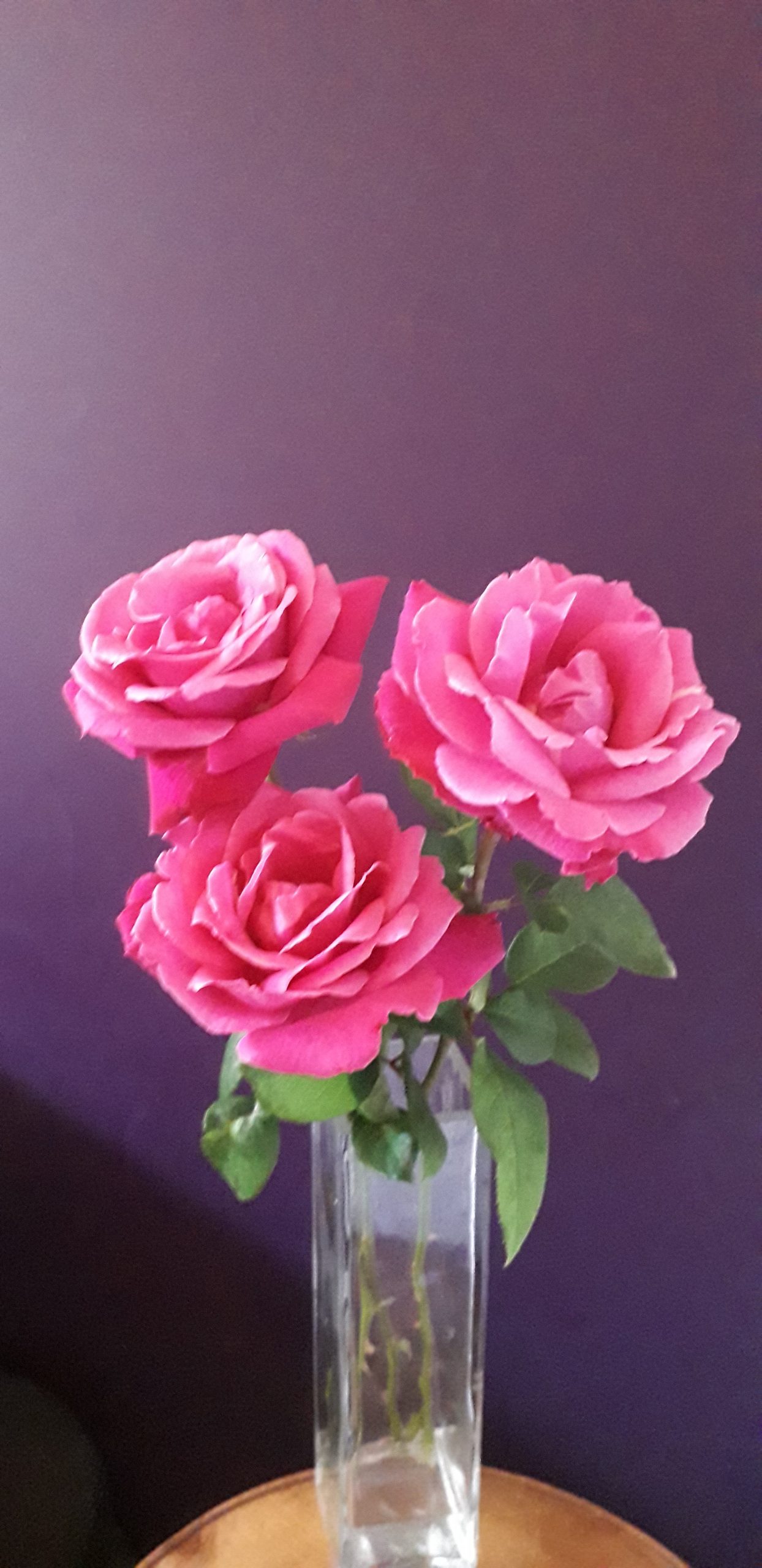 Bouquet de Roses (à l'unité)