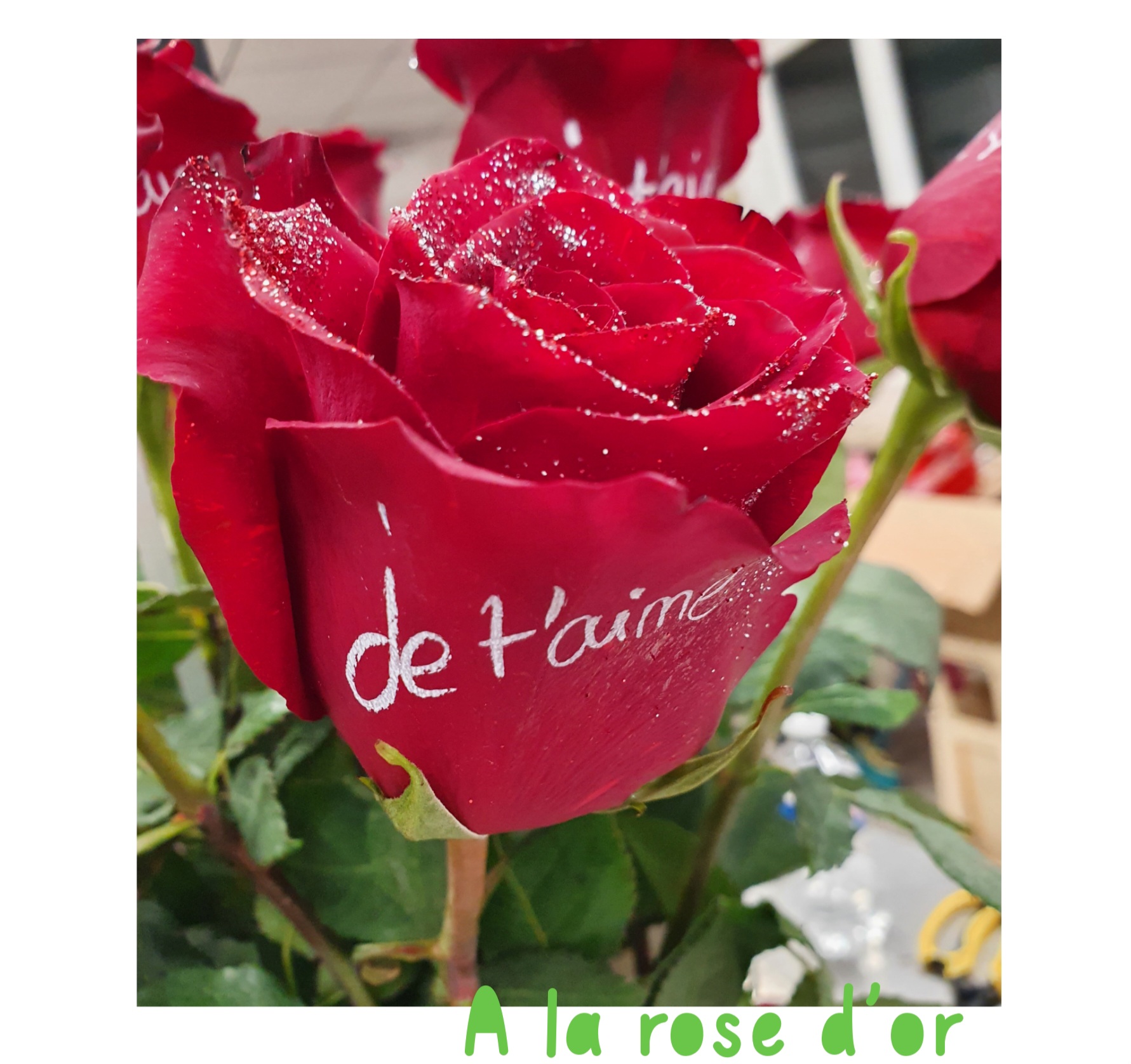 Rose rouge « je t’aime »