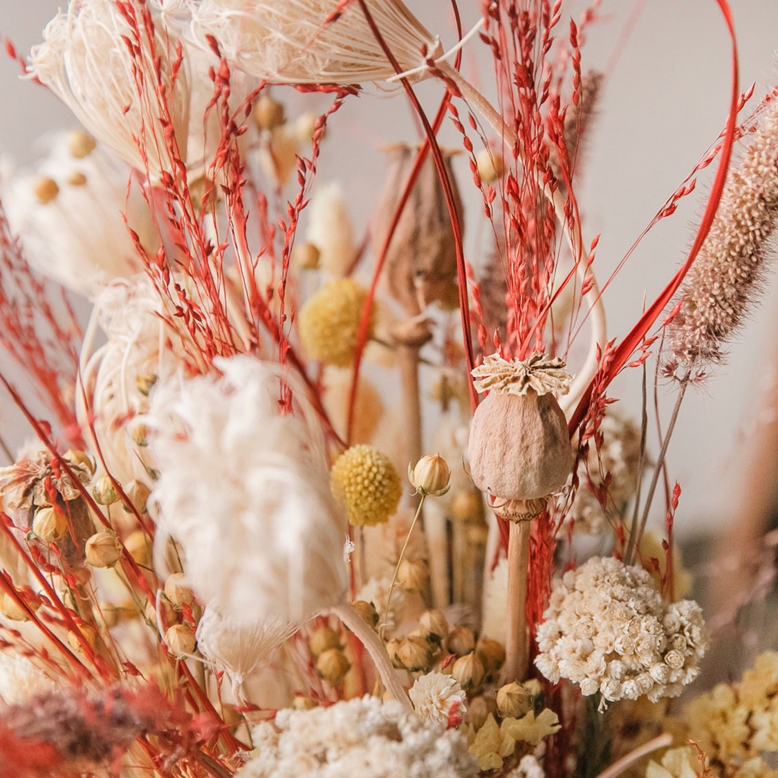 6 Pcs Fleurs Séchées LAUMOE - Bouquet Fleurs Sèches Naturelles Pour Décoration Et Bricolage (Style 3)