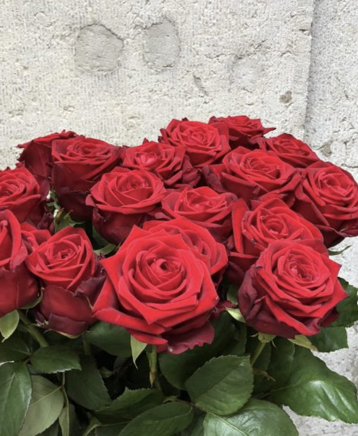 Roses rouges (10 tiges)