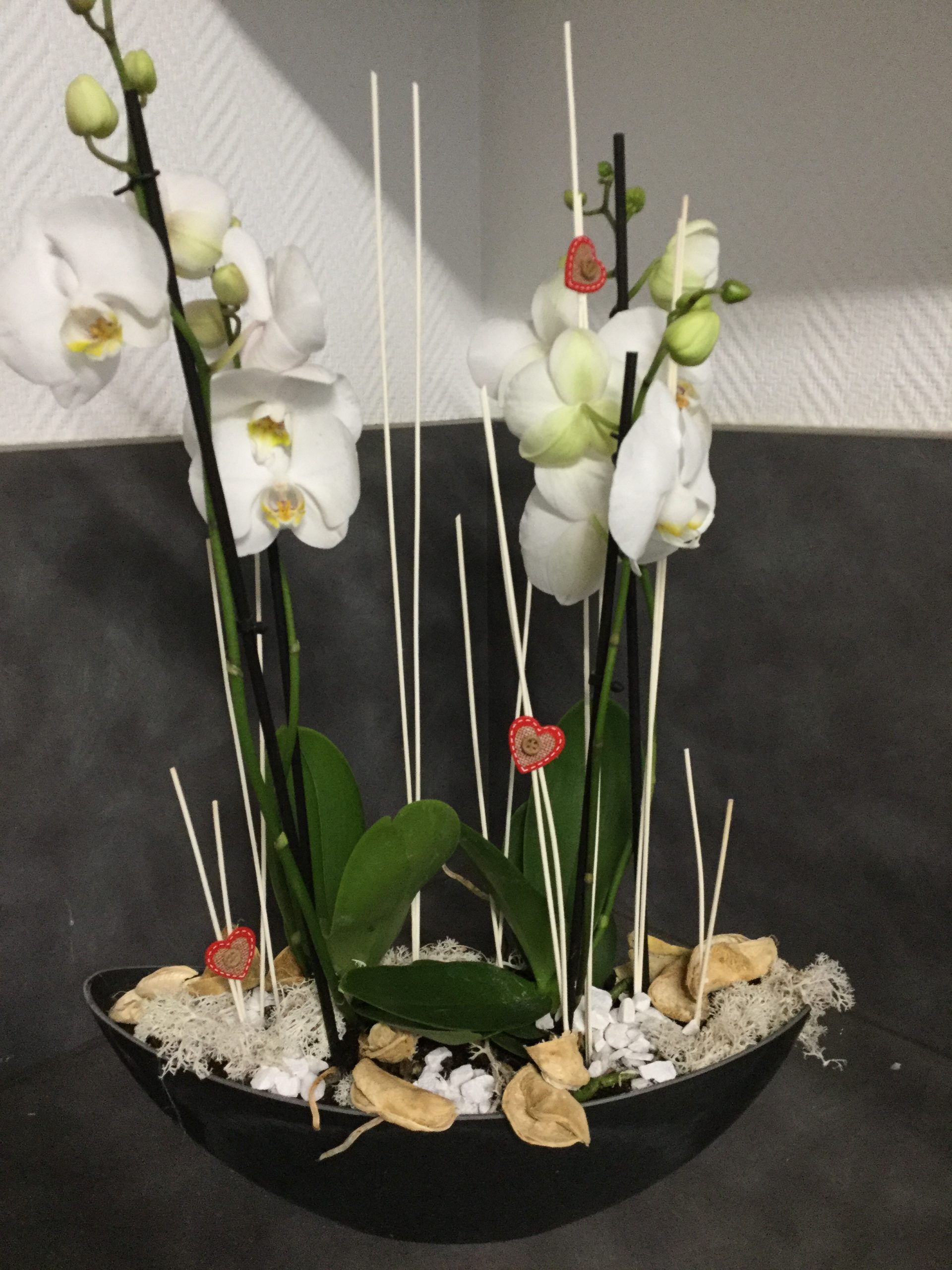 Vasque d'orchidées
