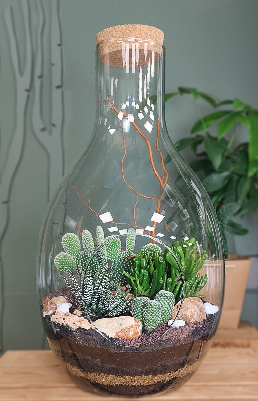 Terrarium En Verre Avec Couvercle En Liège - Grand Format 1600 Ml, Ouverture Large | Pour Plantes Grasses Et Décorations