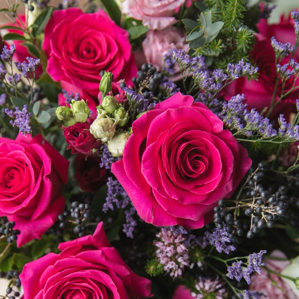 Quelle Est La Saison Des Roses Sessile quelle-est-la-saison-des-roses-sessile