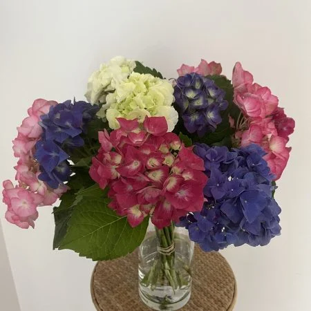Bouquet de petits hortensias, par Hanakawa, fleuriste à Meudon