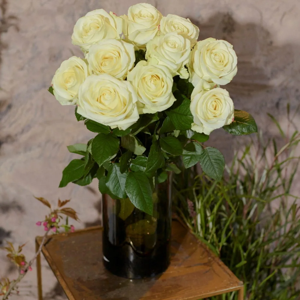 Bouquet de Roses blanches, par Pimprenelle Saint-Savin, fleuriste à Saint-Savin